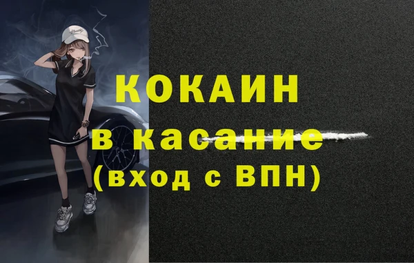 индика Пролетарск