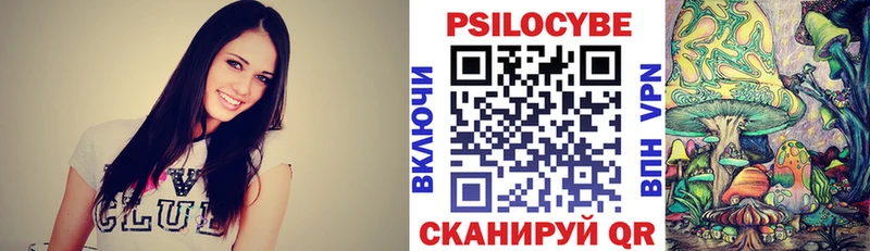 МЕГА как войти  Карабаново  Псилоцибиновые грибы Psilocybe 